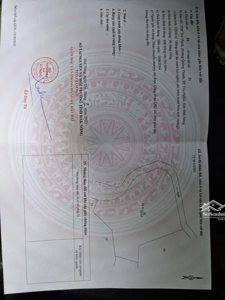 Bán (trồng Cln) Siêu đẹp Tại Tp Gia Nghĩa - đắk Nông (tỉnh Lâm đồng Bây Giờ)