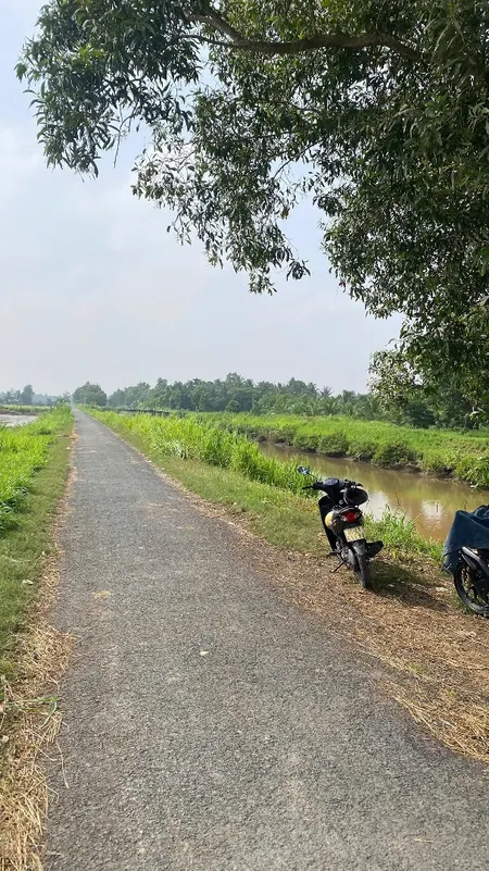 Cần Bán Gấp 3,6 Công Ruộng Cặp Bờ Kinh đường Nhựa 2m