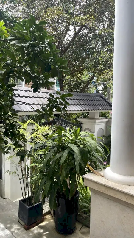 44 - Nguyễn Đỗ Mục - Biệt Thự 3 Tầng Gần Thăng Long - Khuê Trung - Cẩm Lệ - Đường 7m5 Giá Bán 13,5 Tỷ
