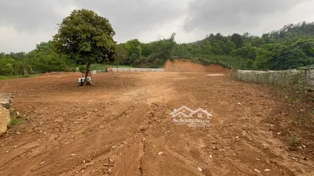 Cần Bán Gấp đất Nghỉ Dưỡng Yên Bài Ba Vì Hà Nội 3700m2 Thổ Cư 400 M2 Giá Hơn 4 Tr M2