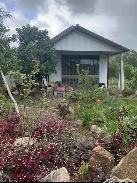 Bán Nhà Vườn đắc Lộc Vĩnh Phương Nha Trang đường: 4 - 5 Mét Dt: 3986 M2, Ngang 80 Mét