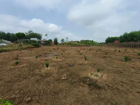 Bán Miếng đất Vườn Hơn 2300 M2 - Chính Chủ Gửi Chỉ 300 Triệu, Giá Cực Tốt