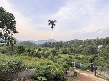 Siêu Phẩm 4700m2 đất Nghỉ Dưỡng View Núi Tại Yên Trung Thạch Thất - Sẵn Nhà