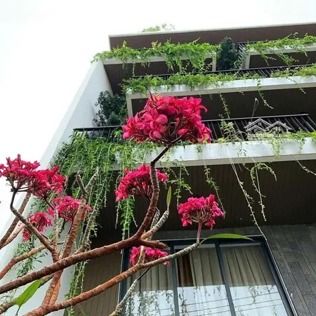 Bán Tòa Khách Sạn 6 Tầng Mt Hồ Nghinh Doanh Thu 7,2 Tỷ/năm. Mới - đẹp