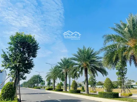 Cơ Hội đầu Tư Sinh Lời Bền Vững Từ đất Nền Tại Long An Chỉ Với 600tr Trong Tay