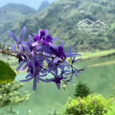 đất Nghỉ Dưỡng Bám Hồ Sẵn Homestay đang Hoạt động Bám Hồ Tằm Cao Sơn đà Bắc Hoà Bình