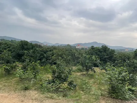 Chính Chủ Bán 2840m2 đất Vườn đẹp Có 400m2 đất ở Tại Thị Xã Chũ - Lục Ngạn - Mặt Tiền 100m