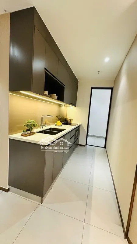 đầu Tư Sinh Lời Với Căn Hộ Cao Cấp Tt Avio Bình Dương Thanh Toán Chỉ 20%