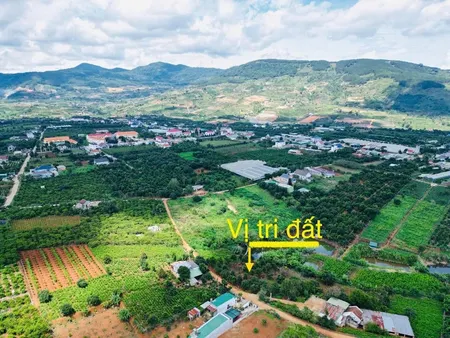 Bán 2 Lô đất đẹp đông Thanh Thôn Thanh Hà Vừa Nghỉ Dưỡng Vừa Thu Hhoạch Trái Cây Giá Chỉ Từ 1,6 Tỷ