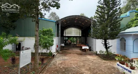 Chuyển Nhượng Nhà Xưởng Gắn Liền Với đất Nhà Nước Cấp Sổ.