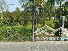 Cần Bán Gấp Lô đất Nhà Vườn 4.200m² Tại Phong điền, Cần Thơ, Vị Trí Cực đẹp Và Tiện Lợi!