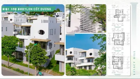 Bán Biệt Thự Legacy Hill, Tân Vinh, Lương Sơn, Hòa Bình, 10,3 Tỷ, 375m2