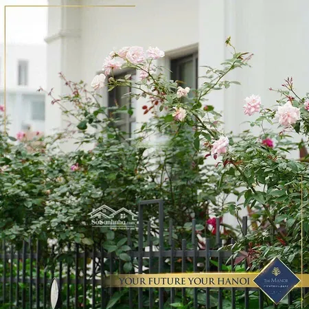 Duy Nhất 1 Căn Mặt đường Lớn 75m Giá Rẻ The Manor Central Park Nguyễn Xiển