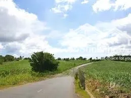 Bán Mảnh đất Nông Nghiệp 8000m2 Tại Cao Nguyên Vân Hòa, Phú Yên