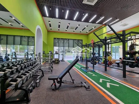 Bán Shophouse 236.5m2 Tại Dcapitale Trần Duy Hưng