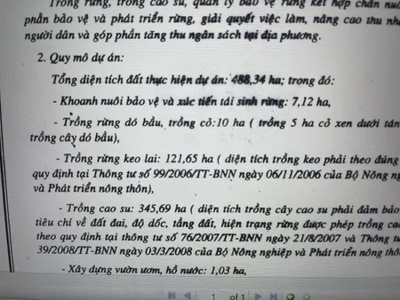 Bán 485ha đất Rừng Sản Xuất đã Có Sổ