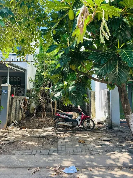 Cần Bán: Nguyễn Văn Tỵ, Hoà Xuân. đường 5.5m Lề 3m. Hướng Nam. Dt 100m2. Lô Sạch đẹp Lên Nhà Số 152