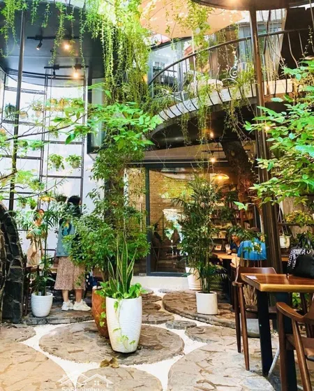Chỉ 14,5 Tỷ - Sập Hầm 600m2 Ngang 18m Tặng 16 Phòng Căn Hộ + Khu Vườn Cực Chill. Dt 60 Triệu/ Tháng