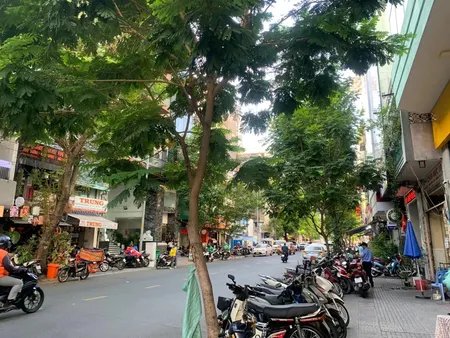 Mặt Tiền Kinh Doanh Vip Nguyễn Thái Bình Q1, Diện Tích 67m2 Xây 5 Tầng, Ngang 5.2m Mt, Chỉ 29 Tỷ