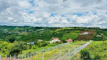527m2 đất Có Thổ Cư Thị Trấn Nam Ban Ven đà Lạt, Tặng Hàng Rào đẹp