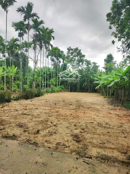 đất Vườn ở Lâu Dài 330m², 2 Mặt Tiền Sổ Hồng Riêng, Gần Dự án Bà Nà Hill - Xây Villa, Nghỉ Dưỡng.