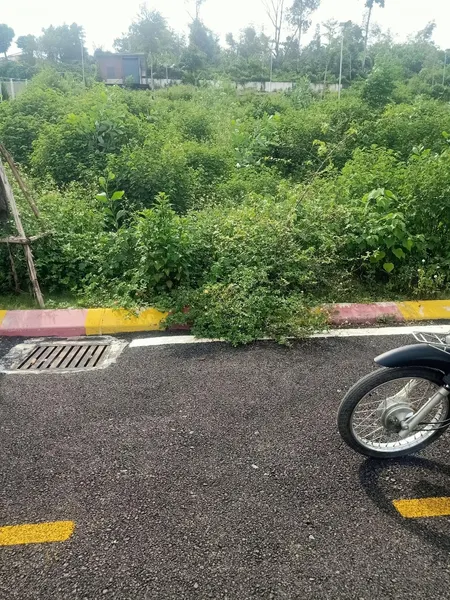 Siêu Phẩm Lô đất 2 Mặt đường Trước,sau, áp Phan ô Tô Tránh Dt 165,3m đất ở 75m,mt 10m,giá 2,975tỷ.