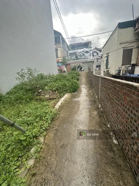 Bán Nhanh Lô đất đông Dư 31m ô Tô Vào đất Gần ô Tô Tránh Giá Chỉ 3.9 Tỷ