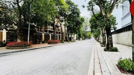 Bán Mảnh đất Khu D9 Khu Vườn đào Tây Hồ 175m2 Mặt Tiền 11m Làm Biệt Thự Hoặc Xây 7 Nổi 1 Hầm