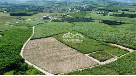 Bán 38,000m2 đất Thích Hợp Làm Farm