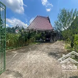 Chính Chủ Bán đất Nghỉ Dưỡng Cực đẹp Có Nhà Sàn đẹp Lung Linh