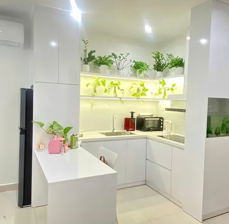 Bán Cc Mini 1pn, 40m2, Giá 3,05 Tỷ, Tại đa Tốn, Gia Lâm, Hà Nội, View đẹp, Nhiều Tiện ích