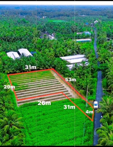 1000m2 đất Lúa Mặt Tiền đường Nhựa, Bình Ninh, Chợ Gạo, Tg