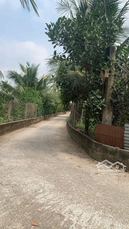 Con đi Du Học, Cần Bán Vường Cây ăn Trái Tâm Huyết Xã Tam An, Long Thành, đồng Nai