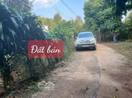 Bán đất Sầu Riêng Phường Bình Lộc - (tp Long Khánh Củ) - đồng Nai
