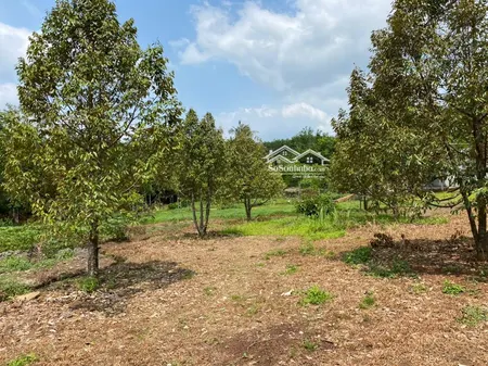 Hot! Bán Gấp Lô đất 2950m2 Có 100m2 Thổ Cư, Mặt Tiền đẹp Tại Thanh Bình đồng Nai - Giá Chỉ 2.65tỷ