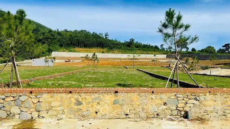 Chính Chủ Em Bán Nhanh 279,3 M2 ở Phú Cát Quốc Oai Hn đường Trải Nhựa Rộng 6m