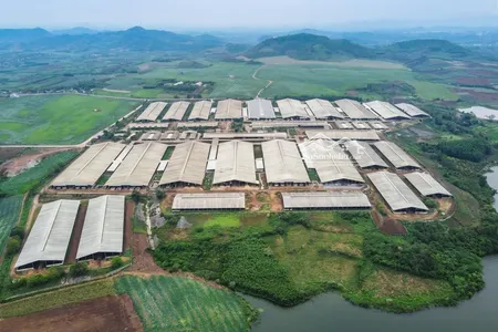 Bán đất Nền Nghỉ Dưỡng đồng Tâm, Lạc Thuỷ, Mặt đường 10m, View Hồ, Sổ đỏ, Dt 169m2, Giá Từ 5tr/1m2