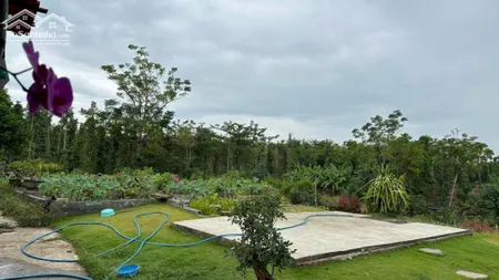 Khi Nghĩ Dưỡng Giáp Hồ Sông Ray Tại Xã Lâm San Cần Bán Gấp