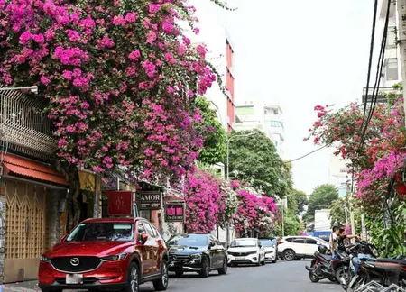 Bán Nhà Mặt Tiền Nguyễn Xuân Khoát, Phường Tân Thành, Tân Phú (dt 5 X 21m) Nhà 4 Tầng. Giá 15 Tỷ Tl