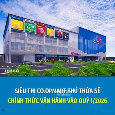 Chủ Bán Lô đường N7 Kdc Tthc Mới Thủ Thừa Dt5x20m2 đối Diện Siêu Thị Giá 2,2 Tỷ Tl Lh0908951586long
