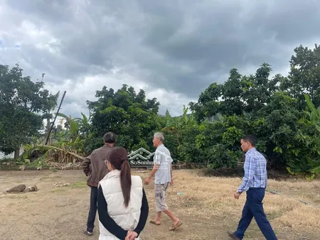 3,2ha Ngay Ql20. Nhà Xưởng đồng Bộ. Giá 120 Tỉ. Gần Sân Bay.