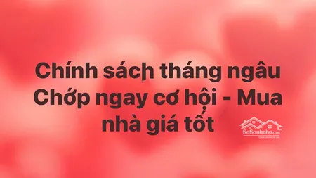 Bán Gấp Căn Xẻ Khe 3 Mặt Thoáng, Thông Ra Hồ & Cụm Chung Cư, Vốn Ký Chỉ 3.6 Tỷ, Miễn Phí Dv 10 Năm