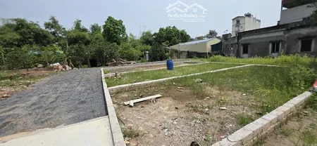 Bán Gấp đất Tại đường 21b, Thanh Oai, Hà Nội, 60 Triệu / M2, 55 M2.