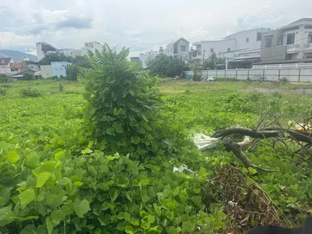 Mặt Tiền đường Lê Hồng Phong Kinh Doanh Sầm Uất.