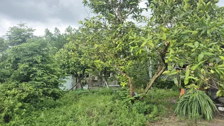 Bán đất đầu Tư Lộc An Long Thành 13000m2 Chỉ 25 Tỷ Có 300tc