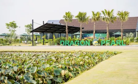 Siêu Hot Giá Rẻ Bán Lô đất Dự án Dragon Pearl, đức Hoà đông, Long An, 18,48 Triệu / M2, 90 M2