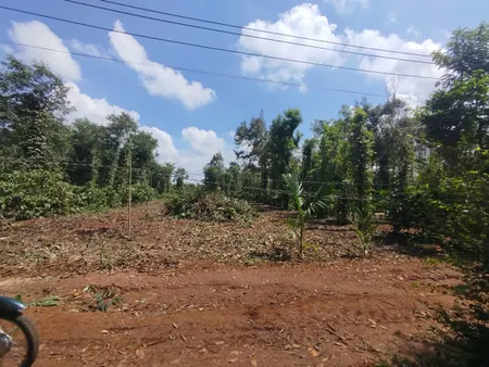 Bán đất 200m² ngang 5m giá 400 triệu Xã Ea Ktur