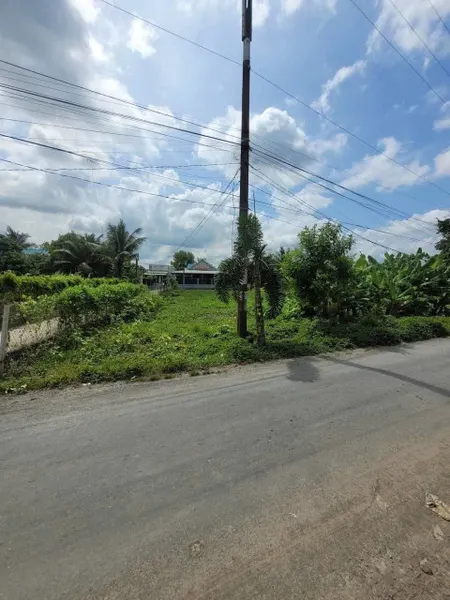 Bán lô góc 22x46m lúa, QH full thổ, Phước Lý, Cần Giuộc, Long An, giá đầu tư