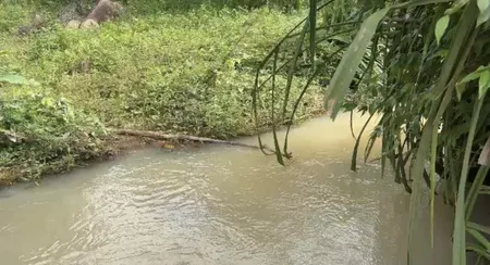 💥 Hơn 3,8ha Ia Ga, Chư Prông