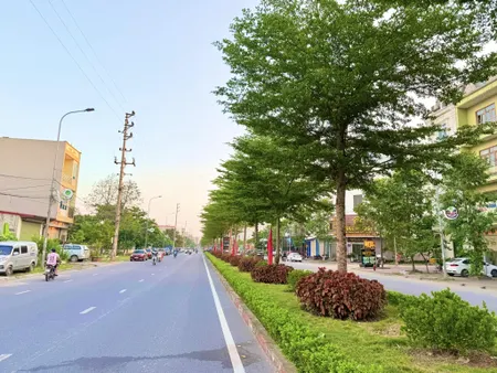 Bán đất 99.9m² ngang 5m giá 7.3 tỷ đường 36 Trương Định, Quế Võ, Bắc Ninh